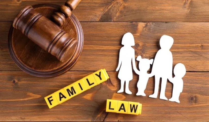 Family law services and legal consultation